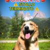 Bigola - Femmina - 7 anni (nata a Dicembre 2017) - Meticcio - Taglia: Grande - Carattere: dolce, equilibrata, socievole - Affinità: Persone, Cani (no gatti) Foto 2